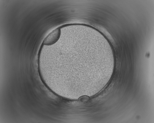 X0000116611380201001081202