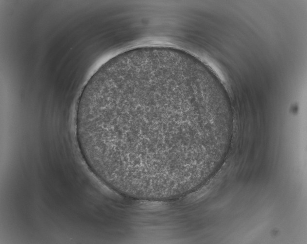 X0000116611382201001081202