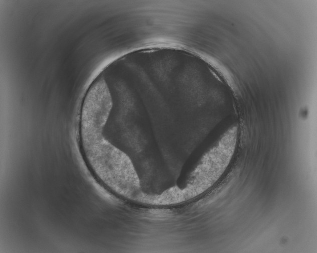 X0000116611383201001081202