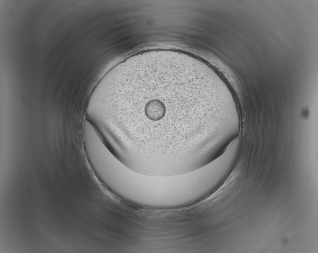 X0000116611385201001081202