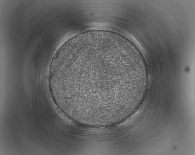 X0000116611386201001081201