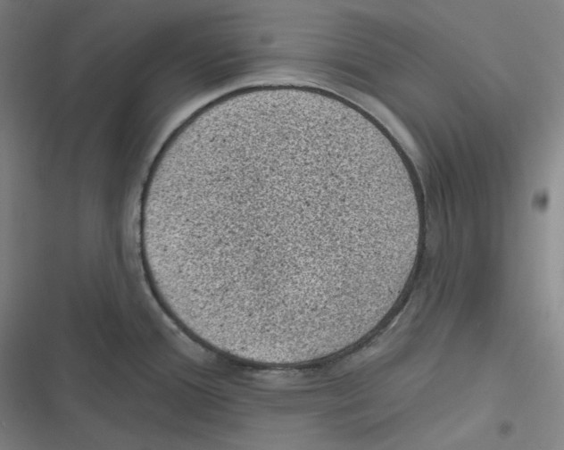 X0000116611388201001081201