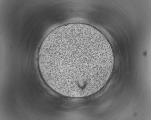 X0000116611390201001081201