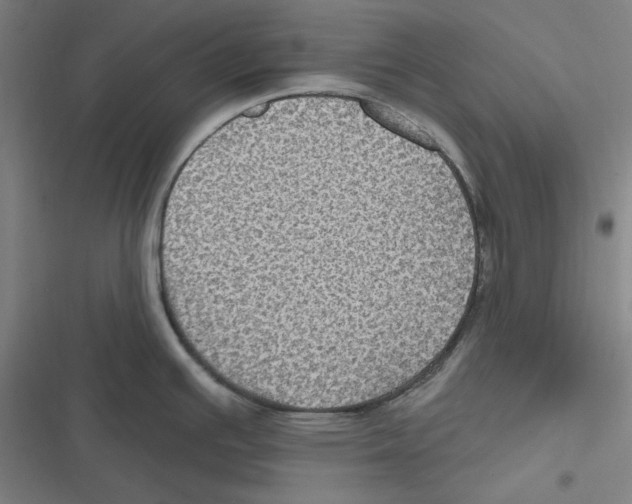 X0000116611391201001081201