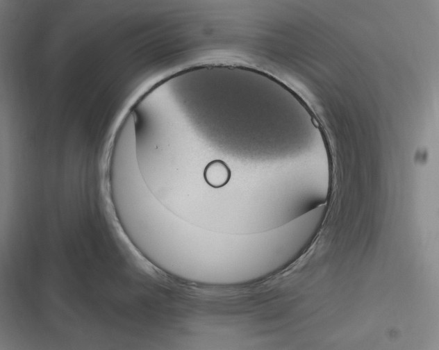 X0000116611392201001081201