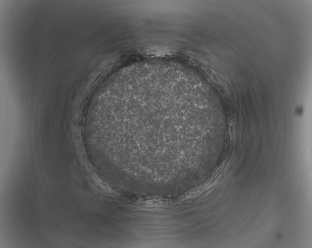 X0000116611393201001081201