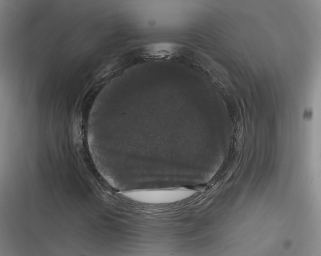 X0000116611394201001081201