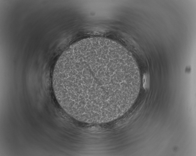 X0000116611395201001081201