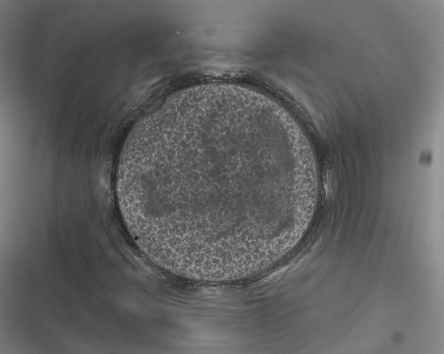 X0000116611396201001081201