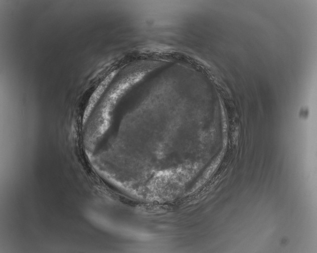 X0000116611397201001081201