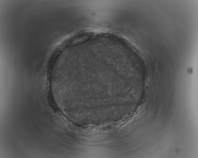 X0000116611398201001081201