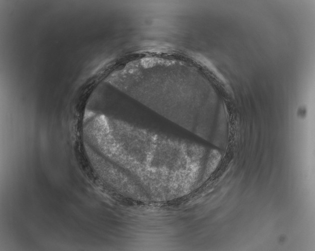 X0000116611399201001081201