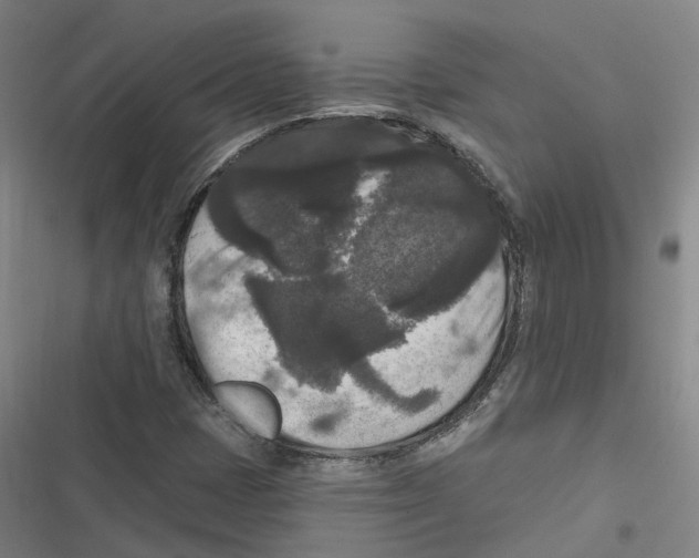 X0000116611401201001081201