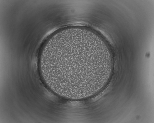 X0000116611402201001081201