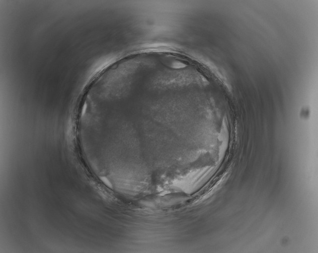 X0000116611405201001081201