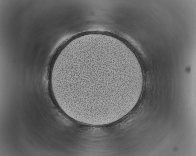 X0000116611408201001081201