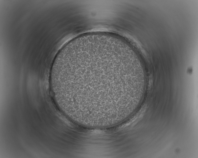 X0000116611409201001081201