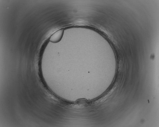 X0000116611410201001081201