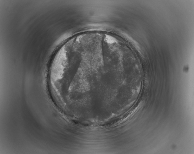 X0000116611411201001081201