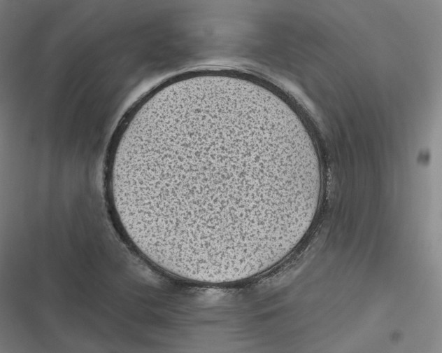 X0000116611412201001081201