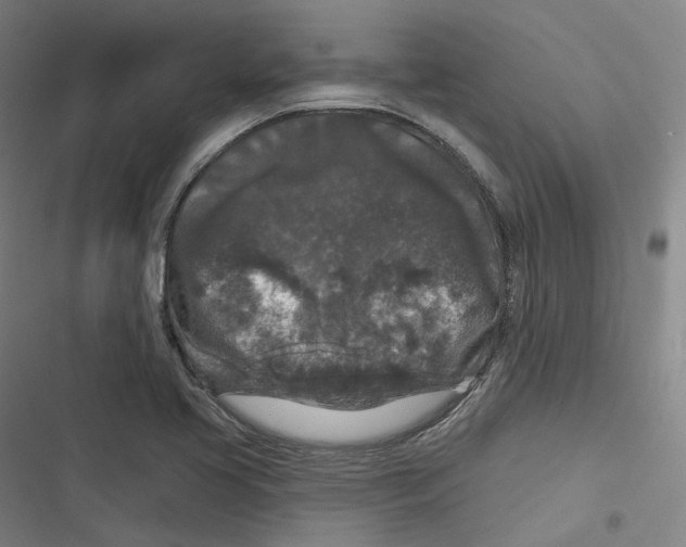 X0000116611413201001081201