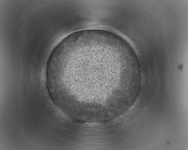 X0000116611415201001081201