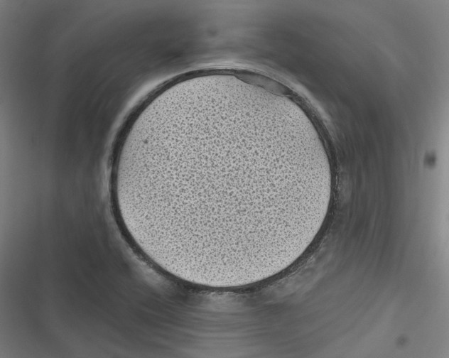 X0000116611416201001081201