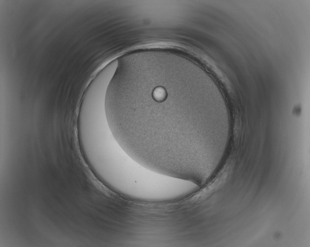 X0000116611417201001081201