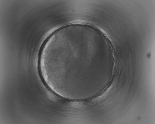 X0000116611418201001081201