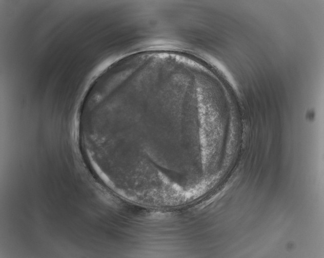 X0000116611419201001081201