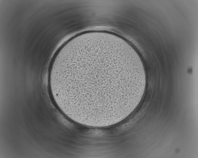 X0000116611420201001081201