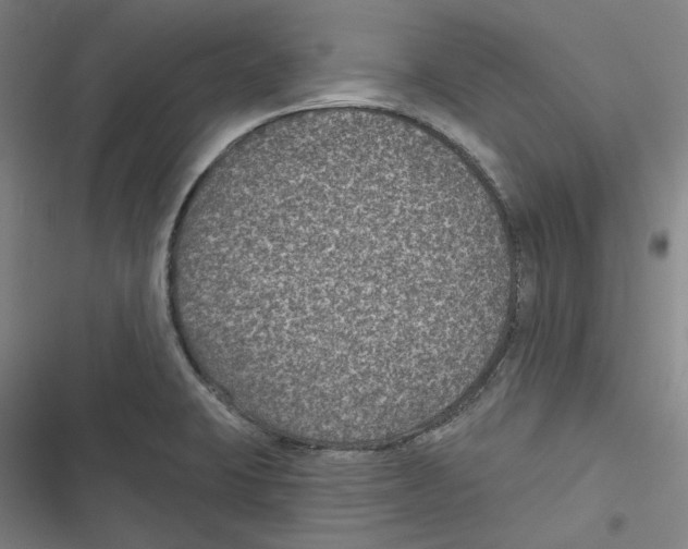 X0000116611423201001081201