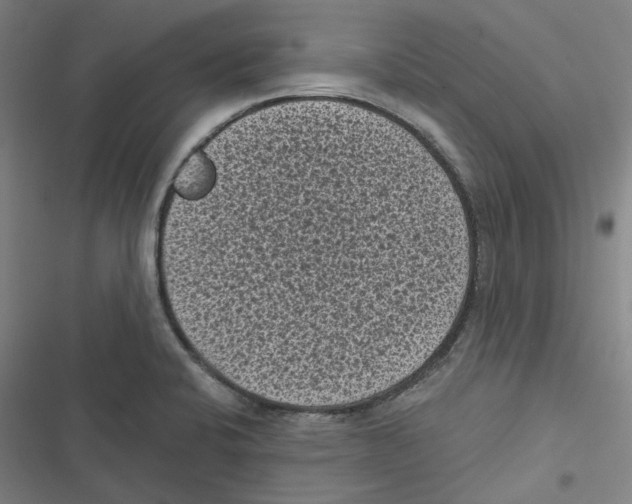 X0000116611424201001081201