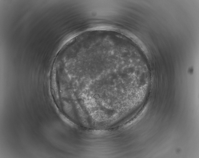 X0000116611425201001081201