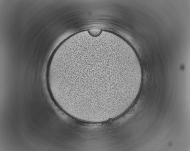 X0000116611426201001081201