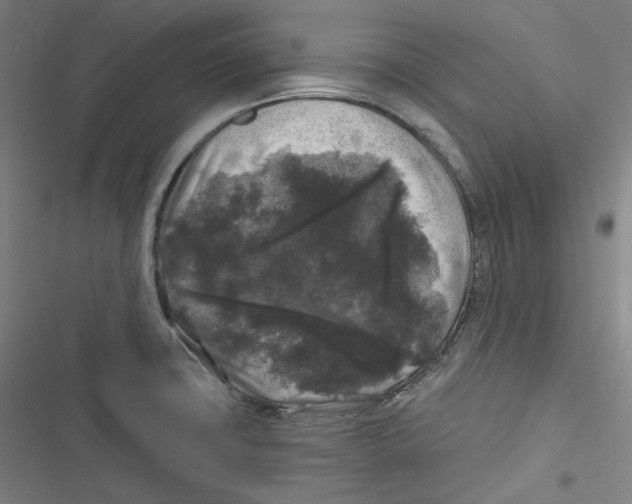 X0000116611427201001081201