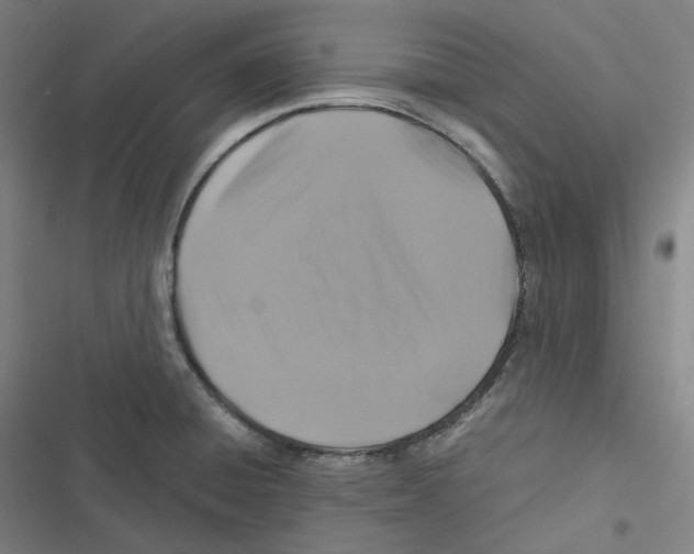 X0000116611428201001081201