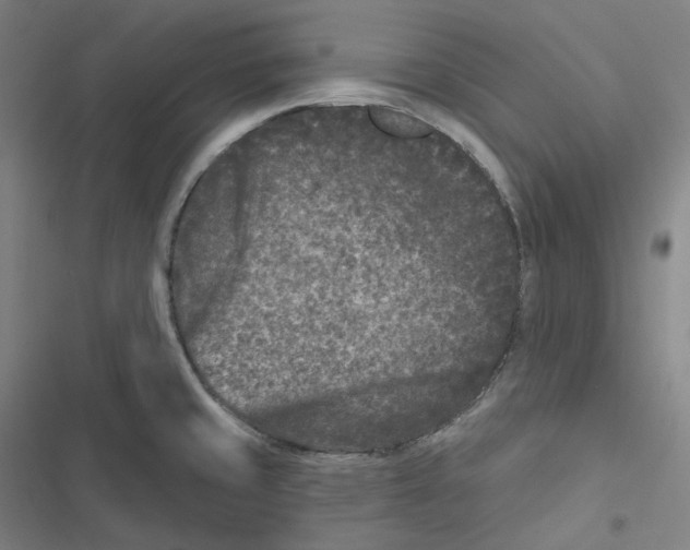 X0000116611429201001081201