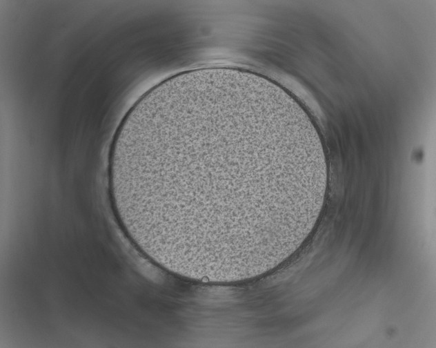 X0000116611431201001081201