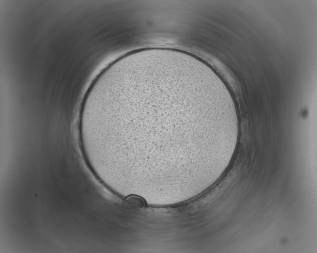 X0000116611432201001081201