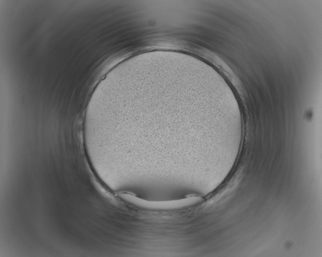 X0000116611433201001081201