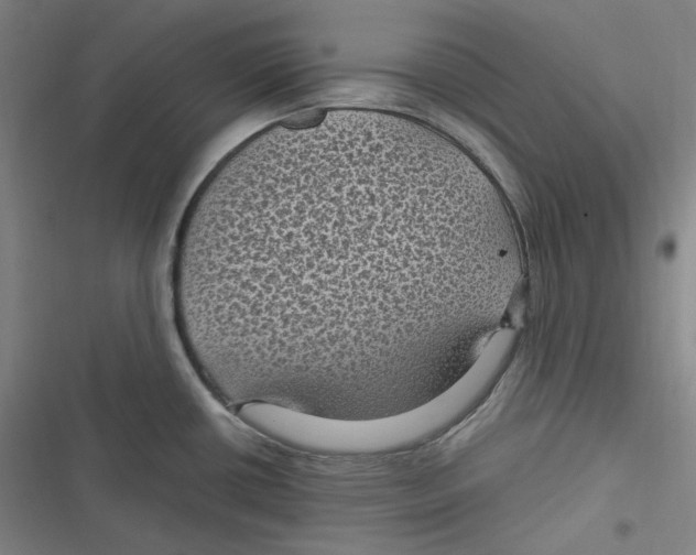 X0000116611434201001081201