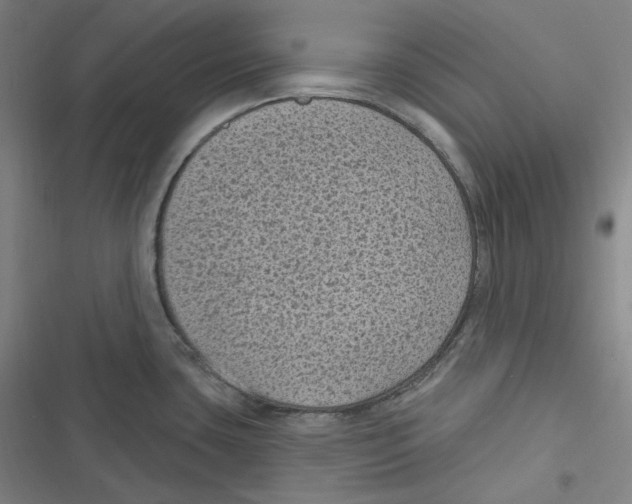 X0000116611435201001081201