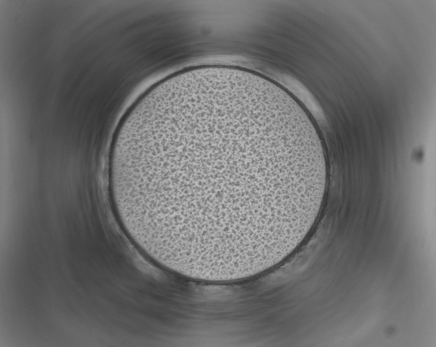 X0000116611436201001081201