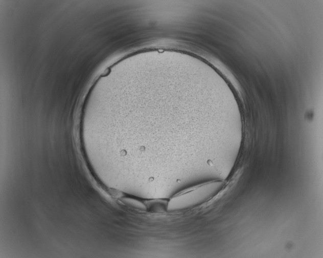 X0000116611437201001081201