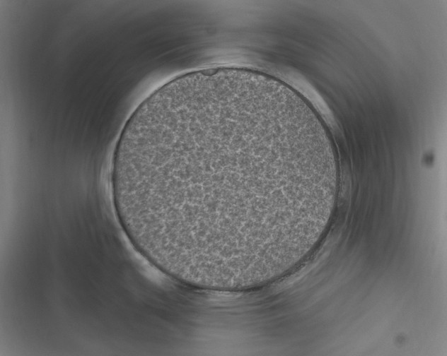 X0000116611439201001081201