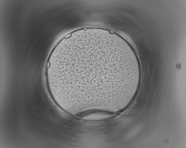 X0000116611440201001081201