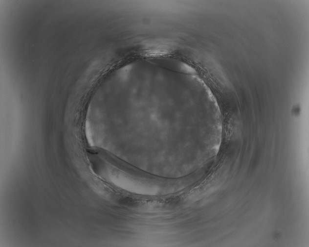 X0000116611441201001081201