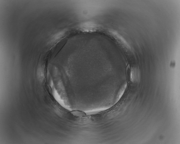 X0000116611444201001081201