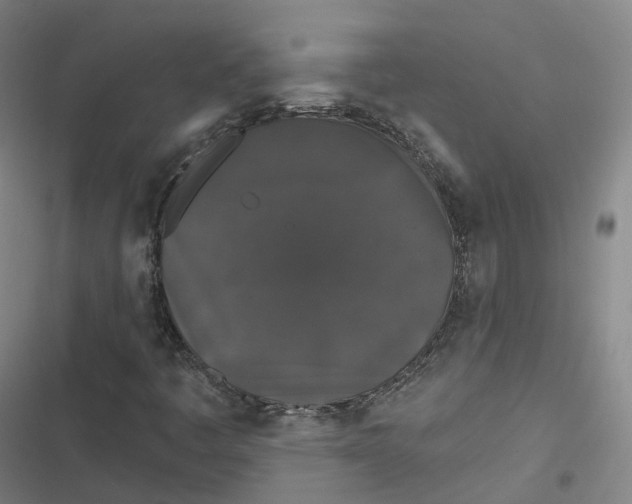 X0000116611445201001081201